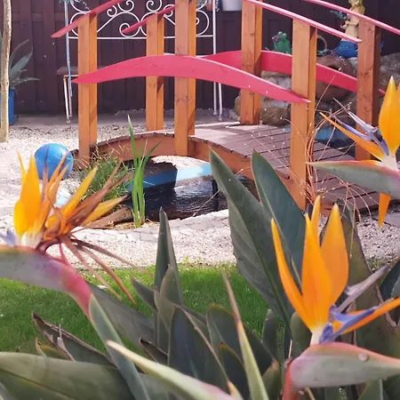 Quarto em Acomodações Particulares Ranch Lau&ri Nazare