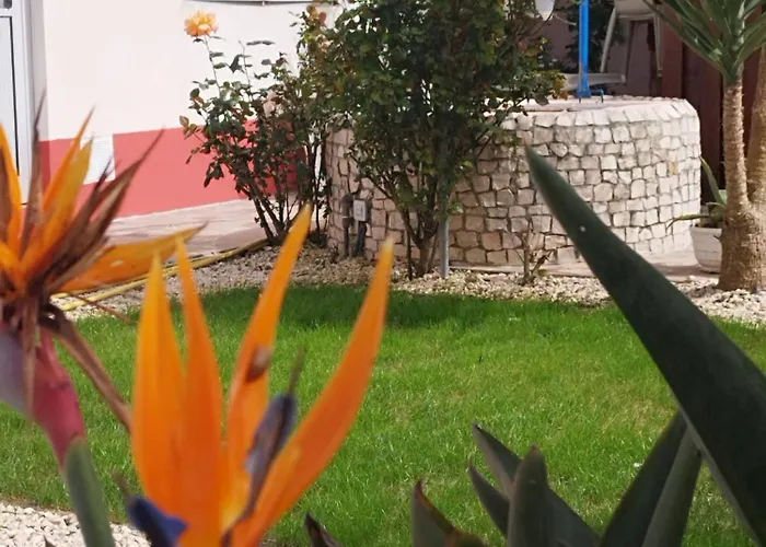 Homestay szállás Ranch Lau&ri Nazare Cela Velha