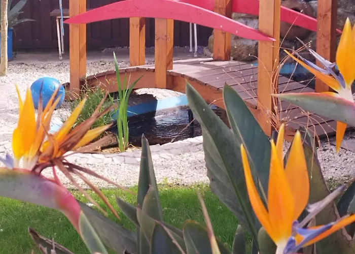 Homestay szállás Ranch Lau&ri Nazare